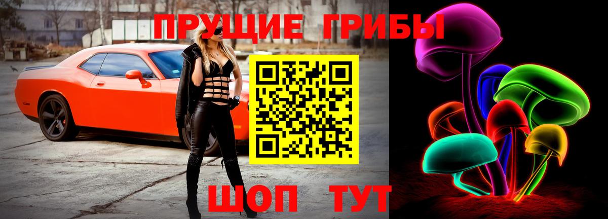 Псилоцибиновые грибы Psilocybe Лыткарино